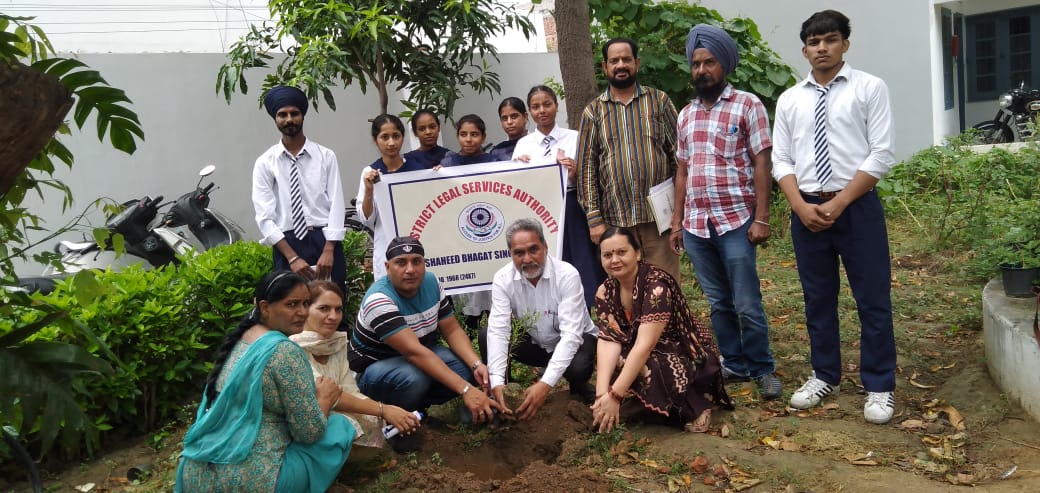 District Legal Services Authority organized seminars and planted saplings at Baba Wazir School.